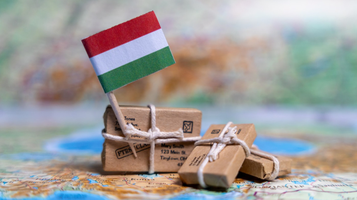 Zöld és digitális jövő a KKV-knak: itt a legújabb GINOP Plusz Hitelprogram